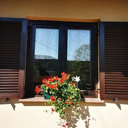 Sovica Tatil Evi Vrbovsko